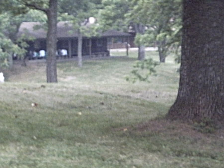 IMG00037