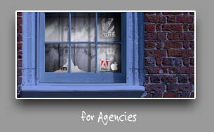 agencies